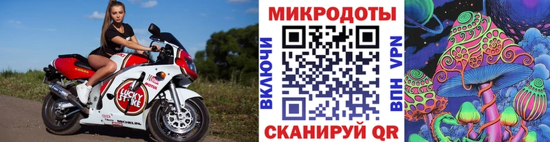 хочу   Чердынь  Галлюциногенные грибы Magic Shrooms 